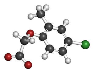 MCPA (2-methyl-4-chlorophenoxyacetic acid) herbicide molecule. 