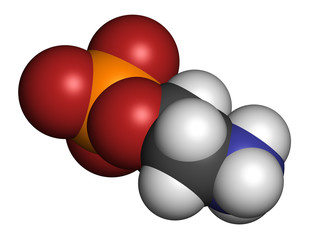 Phosphorylethanolamine (phosphoethanolamine) investigational cancer drug molecule