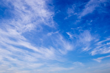 Plumose clouds in the blue sky background