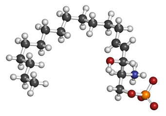 Sphingosine-1-phosphate (S1P) signaling molecule. 3D rendering.