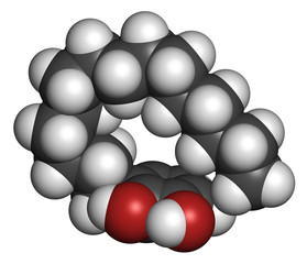 Urushiol poison ivy allergen molecule. 