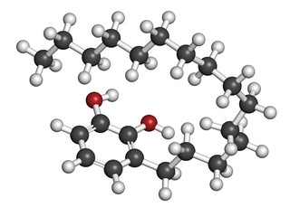 Urushiol poison ivy allergen molecule. 