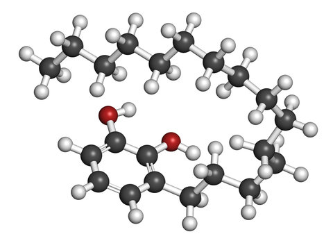 Urushiol poison ivy allergen molecule. 