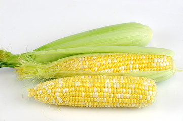 fresh raw corn cob with husk on white background