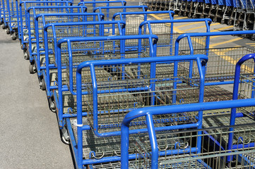 shopping carts