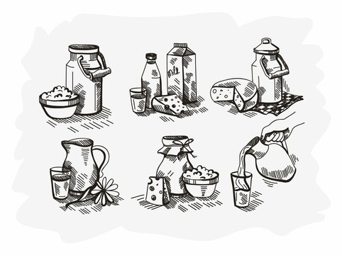 Hand drawn doodle vector illustration of milk products