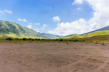 Mount Bromo Savannah