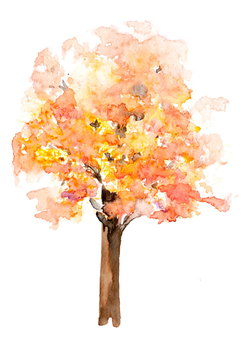 Autumn tree on white, watercolor hand painted