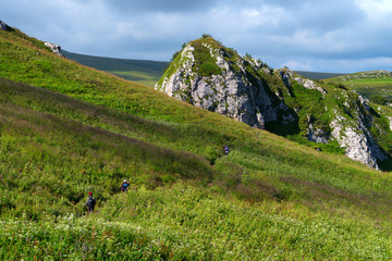 Hiking in alpine meadows