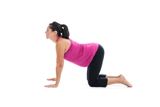 Pregnant woman doing yoga cow pose