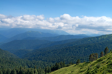 Scenic landscape with mountain forest