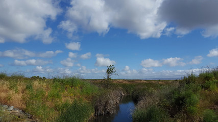 Mountain View Baylands Park at Shoreline in  Silicon Valley, California, on a spring morning.
