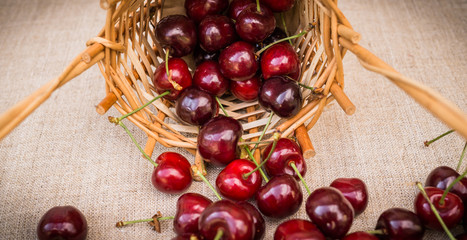 Россыпь спелых красных черешен