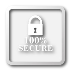 100 percent secure icon