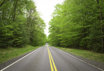 Fototapeta na wymiar Straight mountain road in green forest