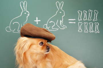 Mathematician