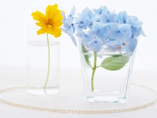 アジサイとキンケイギクとパールネックレス