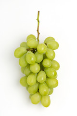 ブドウ　ロザリオ・ブランコ