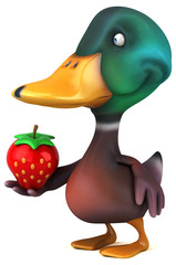 Fun duck