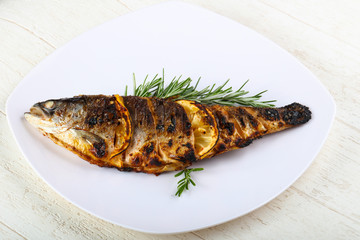 grilled trout
