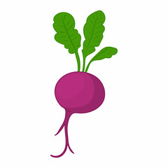 Beet icon in cartoon style