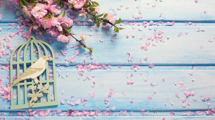 Background  with elegant  pink flowers on blue wooden planks.