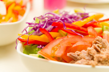 Closeup tuna salad with fresh purple cole, tomato and capsicum slices in white bowl