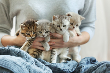 Naklejka premium Woman holding small cute kittens