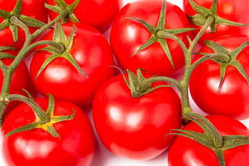 red tomatoes on the branches as a background