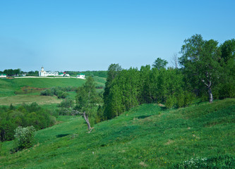 Fototapeta na wymiar Russian spring meadow