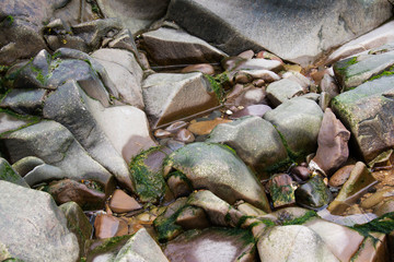 Close up of a water trapped in the rocks