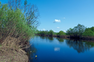 Fototapeta premium Spring on the river