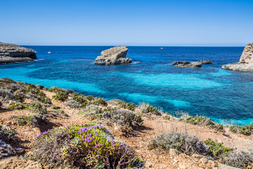 Blue lagoon à Malte, Comino