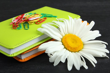 Obraz premium green and orange pads with chamomile and a bunch of paperclips scattered on a black wooden background