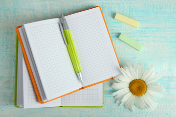green and orange notebooks near the stickers and daisies on a blue wooden background with green handle