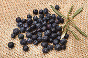 Arándanos fresco y naturales sobre fondo de arpillera. Vista superior