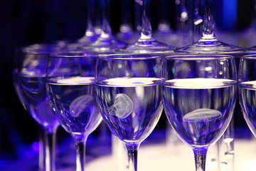 Small Jellyfish in the glass