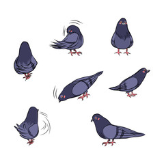 Cartoon pigeon on different actions isolated on white background