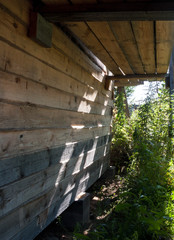 wooden canopy over thickets of a wild nettle