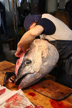 Marché aux poissons de Tokyo, Japon