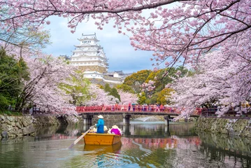 Papier Peint photo Monument historique Château de Himeji avec de belles fleurs de cerisier au printemps