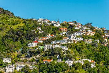 Obraz premium Colorful houses in Wellingto