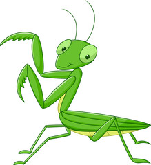 Cute cartoon mantis 