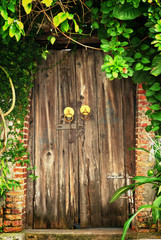 The wooden door of the old house