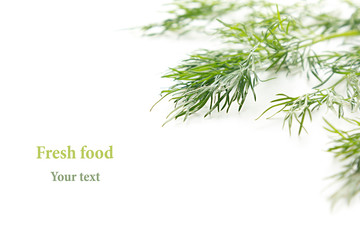 Obraz premium Sprig of green dill on a white background. Frame with copy space for text. Isolated, studio, close-up