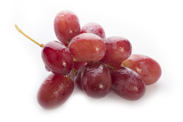 grape isolated