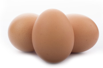 brown eggs isolated