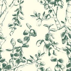 jade plant seamless pattern