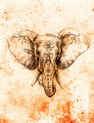 Naklejka premium Elephant with floral ornament, pencil drawing on paper. Color effect and Computer collage.