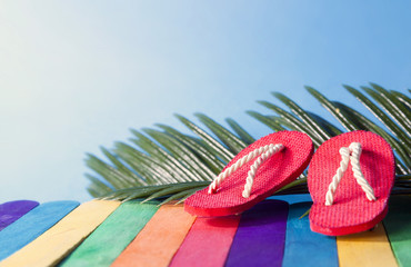 Colorful background summer flip flop